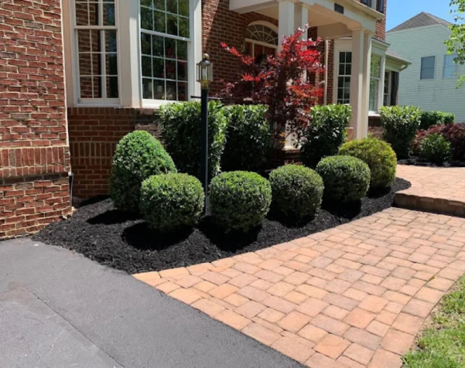 outdoor landscape in a residential house